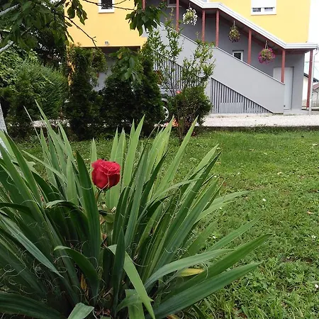 Elite Apartment Jasmina Bihać Dış mekan fotoğraf