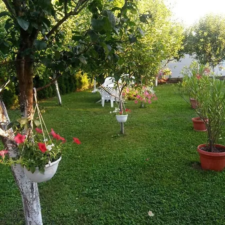 Elite Apartment Jasmina Bihać Dış mekan fotoğraf