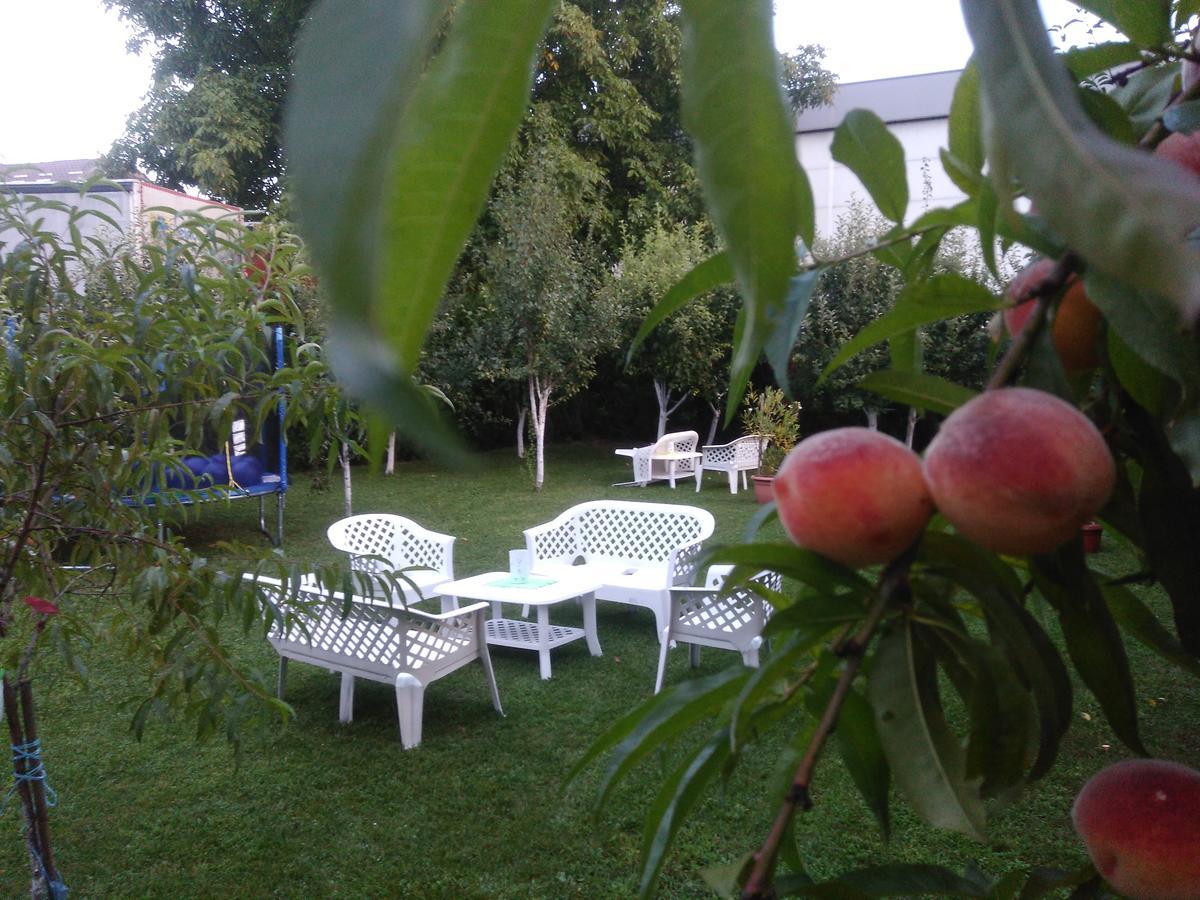 Elite Jasmina Apartment Bihac