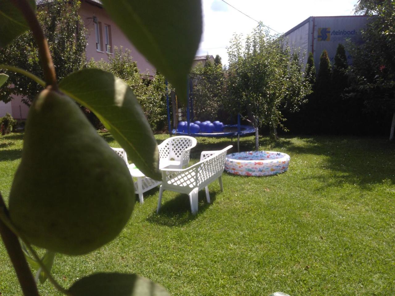 Apartment Elite Jasmina *
