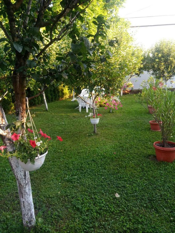 Elite Jasmina Apartment Bihac